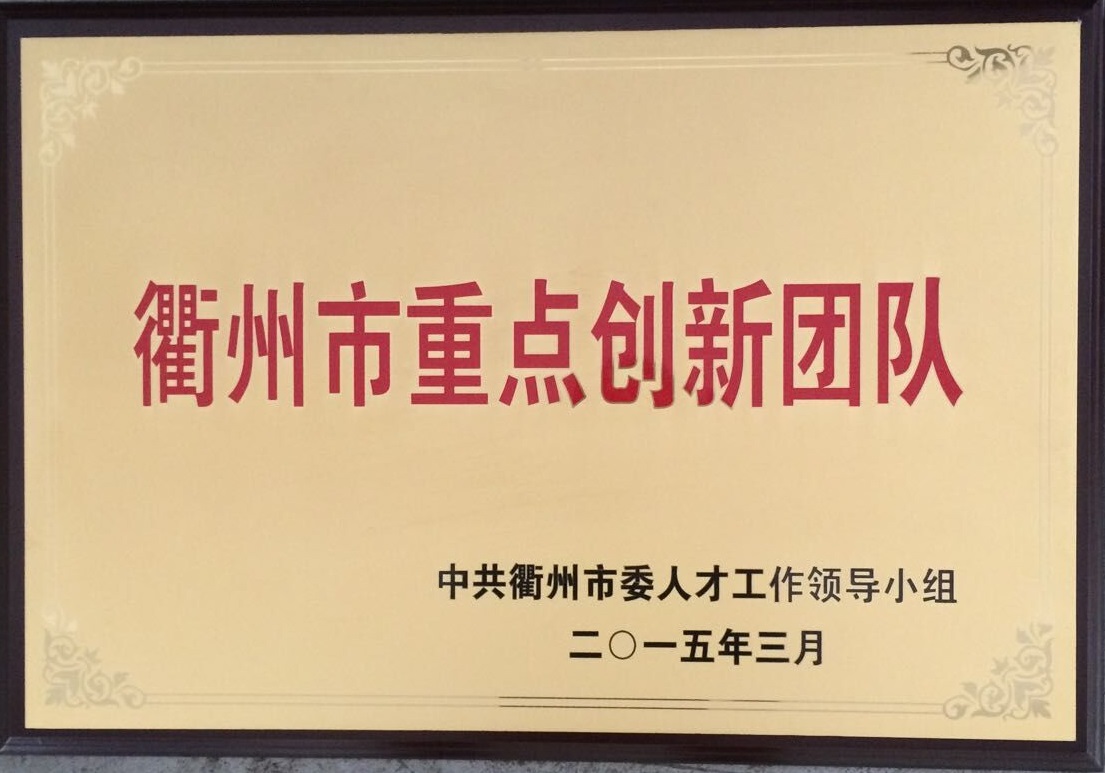 衢州市重點創新團隊